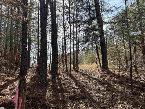 0000 Old Goldmine Road Troy SC 29848