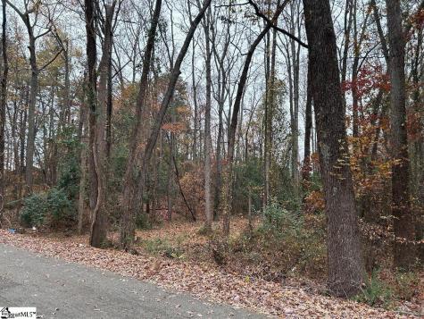 11 Pleasant Grove Drive Greenville SC 29611