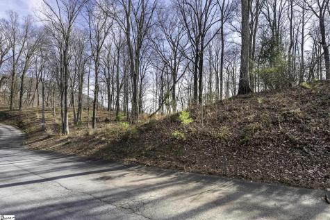 101 Upper Ridge Way Travelers Rest SC 29690