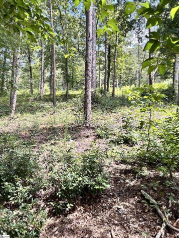 00 Aqua View Drive Seneca SC 29672