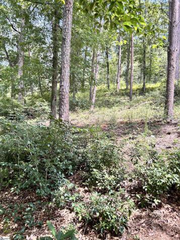 00 Aqua View Drive Seneca SC 29672