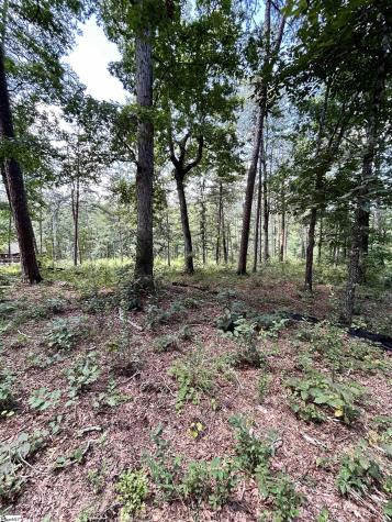 00 Aqua View Drive Seneca SC 29672