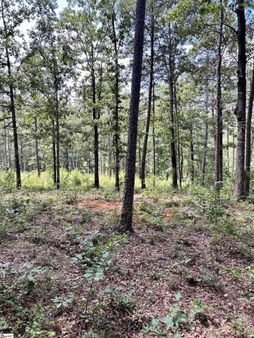 00 Aqua View Drive Seneca SC 29672