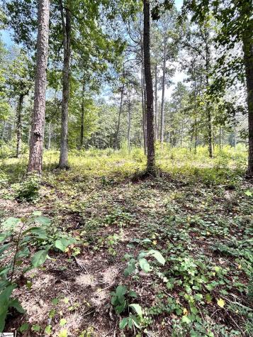 00 Aqua View Drive Seneca SC 29672