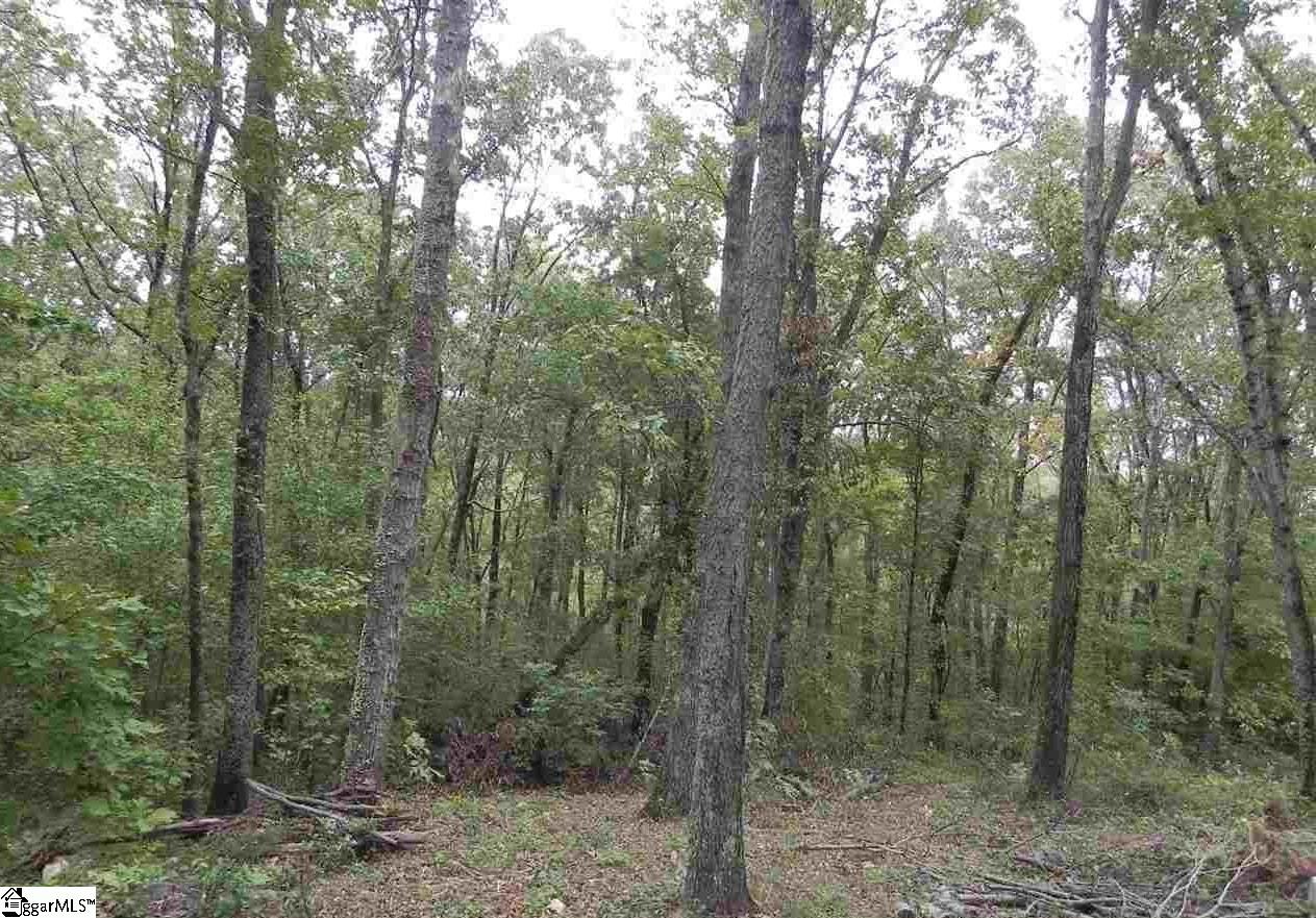 27 Northslope View Drive Landrum SC 29356
