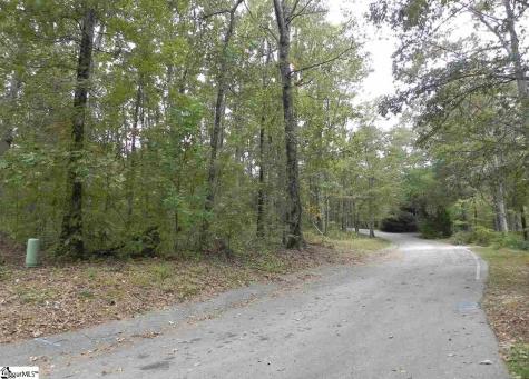 27 Northslope View Drive Landrum SC 29356