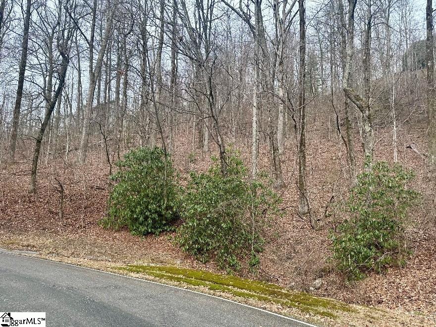 00 Indian Pipe Trail Landrum SC 29356