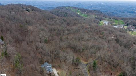 00 Indian Pipe Trail Landrum SC 29356