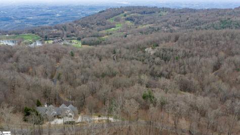 00 Indian Pipe Trail Landrum SC 29356