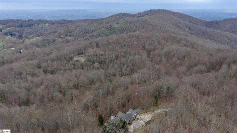 00 Indian Pipe Trail Landrum SC 29356