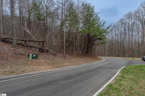 00 Indian Pipe Trail Landrum SC 29356