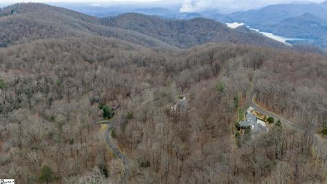 00 Indian Pipe Trail Landrum SC 29356