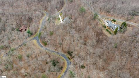 00 Indian Pipe Trail Landrum SC 29356