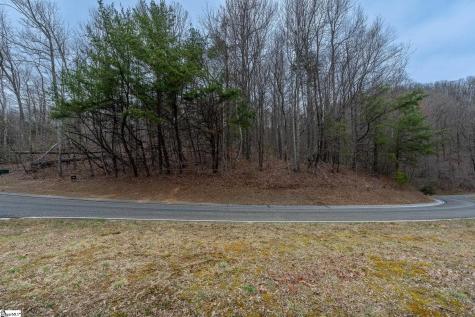 00 Indian Pipe Trail Landrum SC 29356