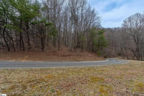 00 Indian Pipe Trail Landrum SC 29356