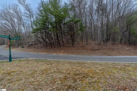00 Indian Pipe Trail Landrum SC 29356