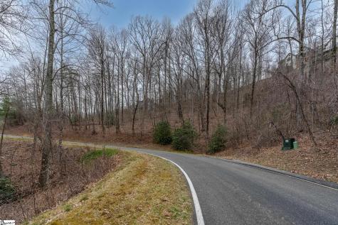 00 Indian Pipe Trail Landrum SC 29356