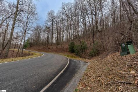 00 Indian Pipe Trail Landrum SC 29356
