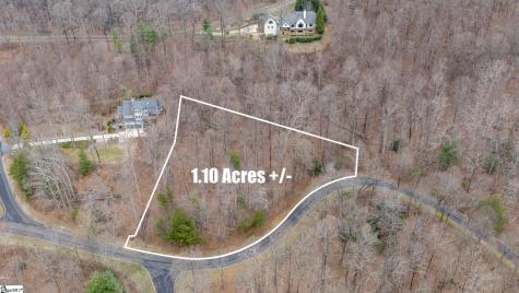 00 Indian Pipe Trail Landrum SC 29356