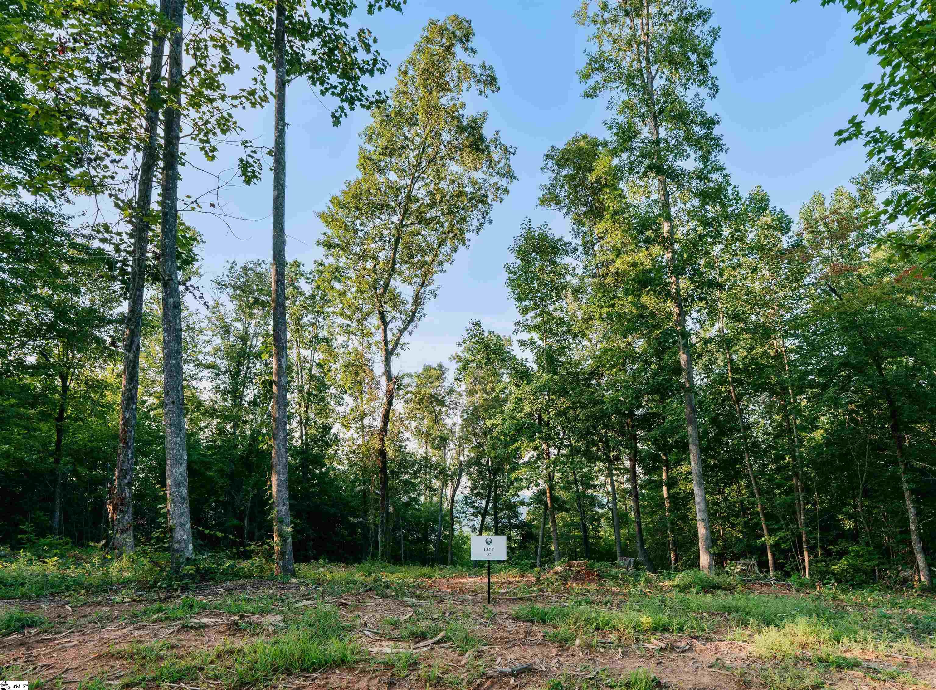 200 Chestnut Mountain Road Travelers Rest SC 29690