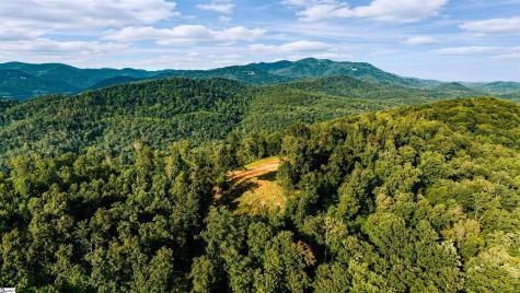 200 Chestnut Mountain Road Travelers Rest SC 29690