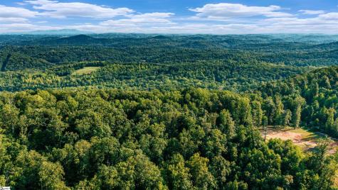 200 Chestnut Mountain Road Travelers Rest SC 29690