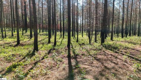 04 Lisbon Road Mountville SC 29370