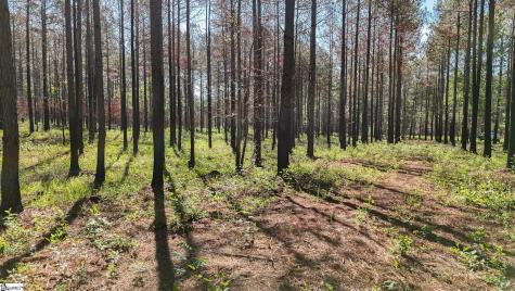 04 Lisbon Road Mountville SC 29370