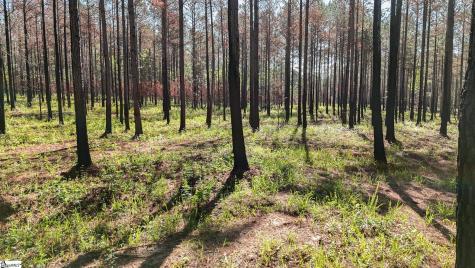 04 Lisbon Road Mountville SC 29370