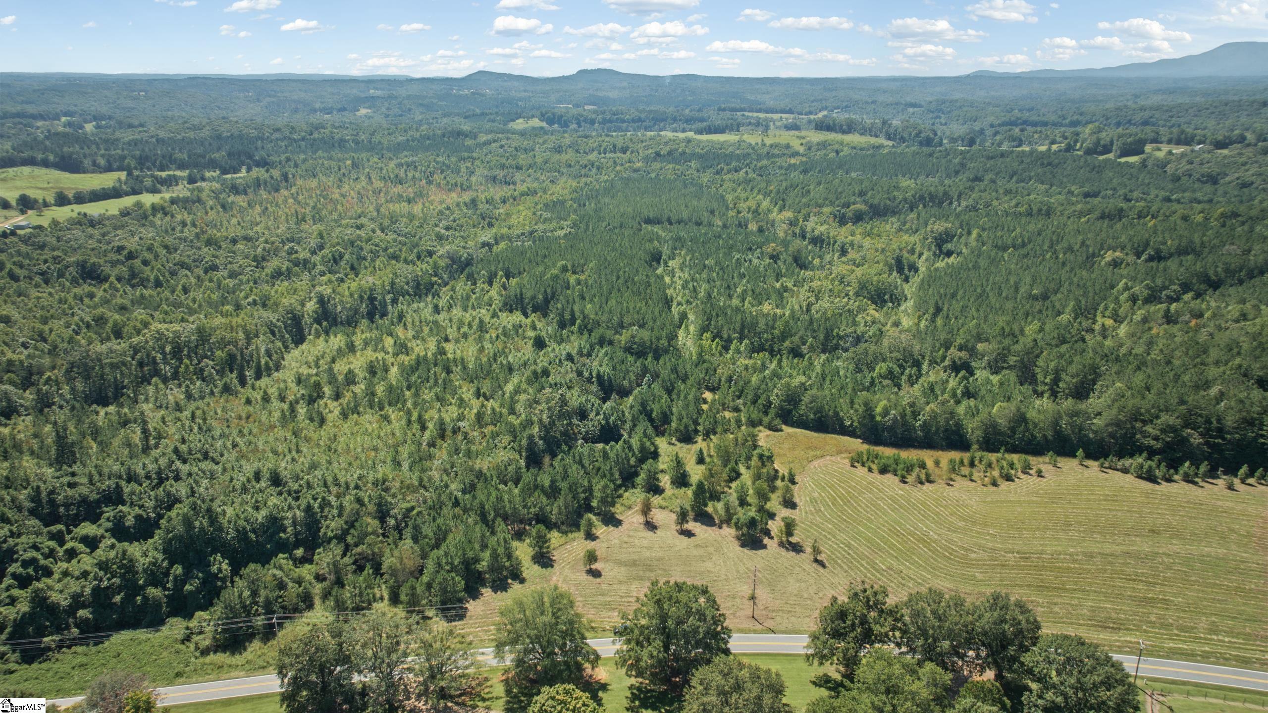 000 Pea Ridge Road Mill Spring NC 28756