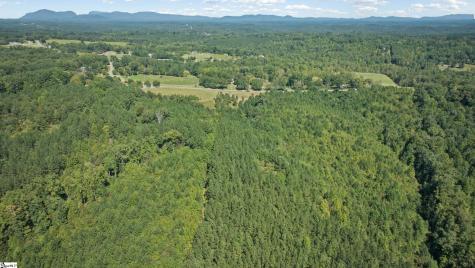 000 Pea Ridge Road Mill Spring NC 28756