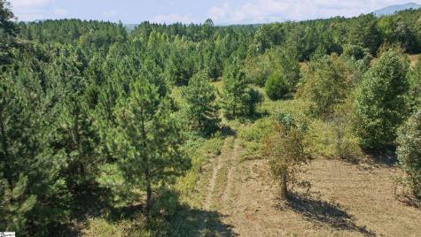 000 Pea Ridge Road Mill Spring NC 28756