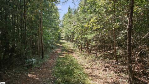 000 Pea Ridge Road Mill Spring NC 28756