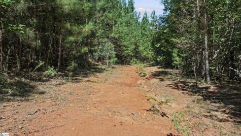 000 Pea Ridge Road Mill Spring NC 28756