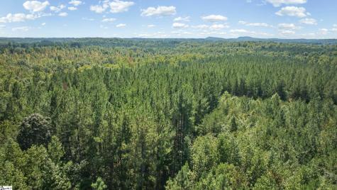 000 Pea Ridge Road Mill Spring NC 28756