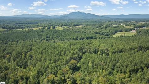 000 Pea Ridge Road Mill Spring NC 28756