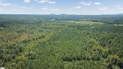 000 Pea Ridge Road Mill Spring NC 28756