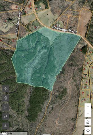 000 Pea Ridge Road Mill Spring NC 28756