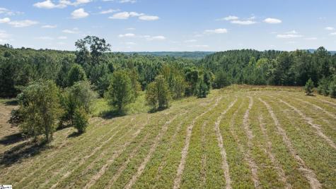 000 Pea Ridge Road Mill Spring NC 28756