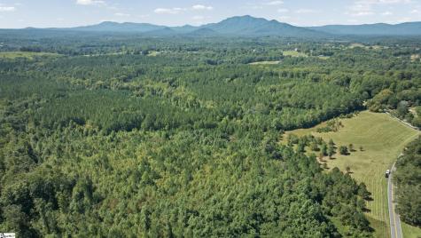 000 Pea Ridge Road Mill Spring NC 28756