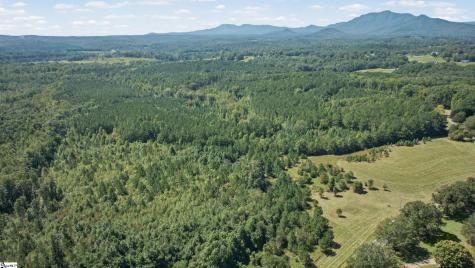 000 Pea Ridge Road Mill Spring NC 28756
