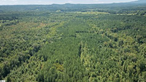 000 Pea Ridge Road Mill Spring NC 28756
