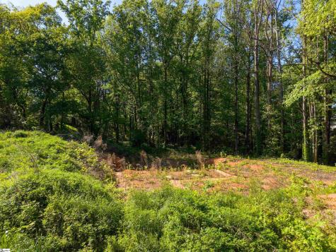 6 Stratton Place Greenville SC 29615