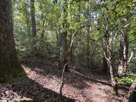 00 Whitewater Lake Road Salem SC 29686
