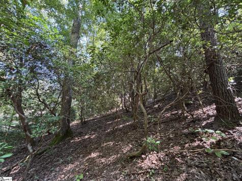 00 Whitewater Lake Road Salem SC 29686