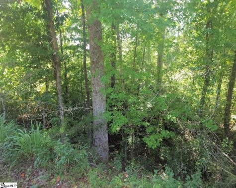 Granny Apple Road Enoree SC 29335