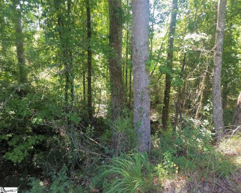 Granny Apple Road Enoree SC 29335