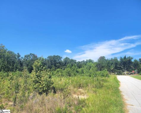 Granny Apple Road Enoree SC 29335