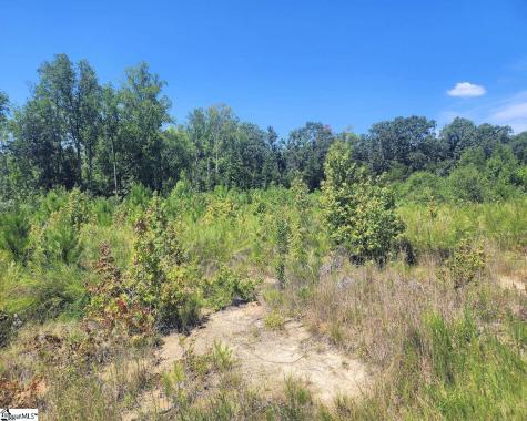 Granny Apple Road Enoree SC 29335