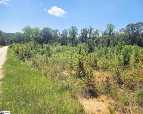 Granny Apple Road Enoree SC 29335